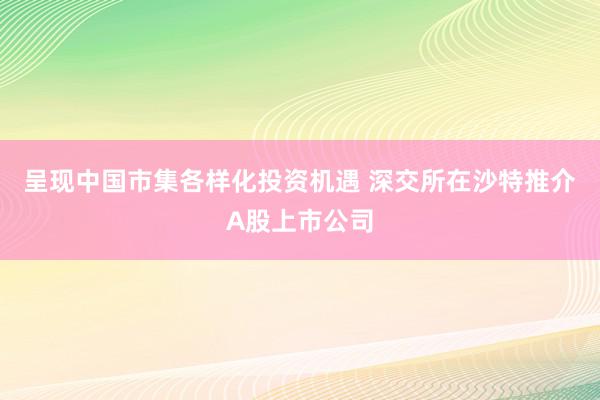 呈现中国市集各样化投资机遇 深交所在沙特推介A股上市公司