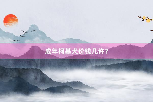 成年柯基犬价钱几许？