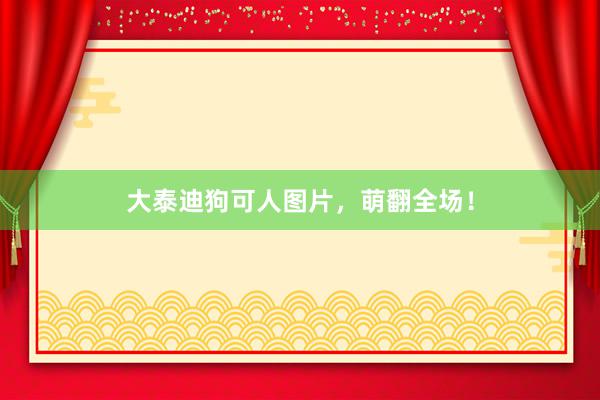 大泰迪狗可人图片，萌翻全场！