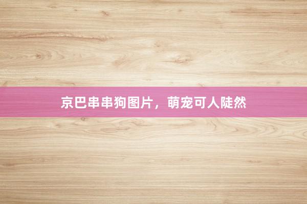 京巴串串狗图片，萌宠可人陡然