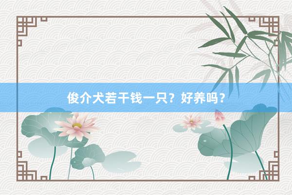 俊介犬若干钱一只？好养吗？