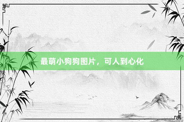 最萌小狗狗图片，可人到心化