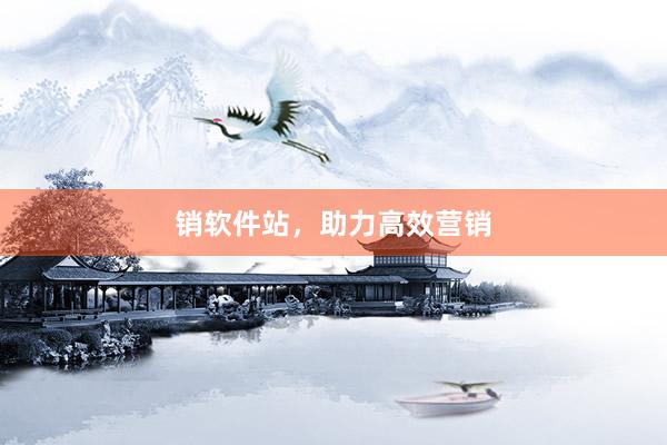 销软件站，助力高效营销